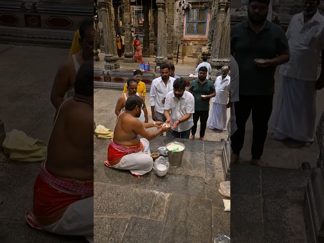 #Prasadam #Distribution 19.5.24 #Sri #Nataraja #Temple #Deekshithars #Tamilnadu class=