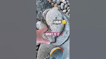 I can’t believe this fossil nautilus has such beautiful 🤩 crystals inside!#beachfossils#nautilus