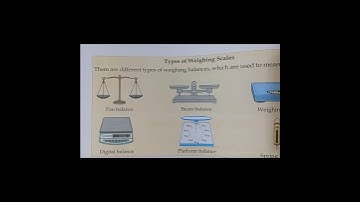 Types of weighing scales