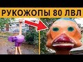 КОРОЧЕ ГОВОРЯ, Я У МАМЫ РУКОЖОП 80 ЛВЛ - САМЫЕ ЛЮТЫЕ СТРОИТЕЛИ