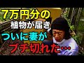 【緊急】ごめんなさい！ごめんなさい！ごめんなさい！　【園芸超人カーメン君】