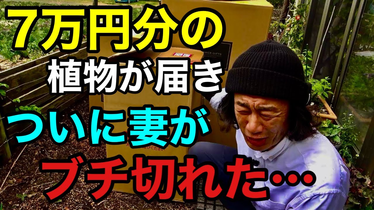 緊急】ごめんなさい！ごめんなさい！ごめんなさい！ 【園芸超人