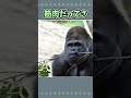 【下剋上】マンボウを戦艦化したら海の支配者になった…。【short ver】【ゆっくり実況】
