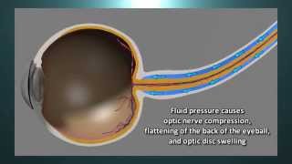 StationLife: EyeOpening Science