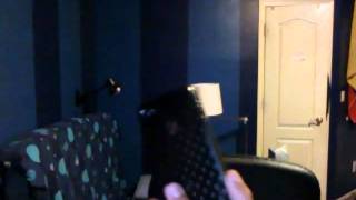 Capture_20101028_1.wmv