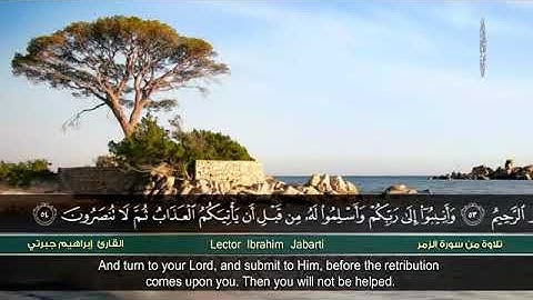 تلاوة مميزة من سورة الزمر للقارئ ابراهيم جبرتي