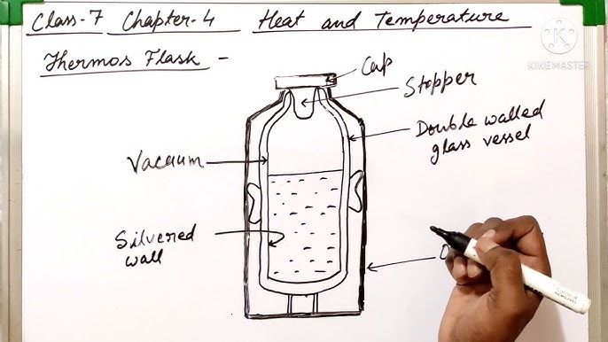 how to draw thermos flask diagram I how to draw thermos flask 