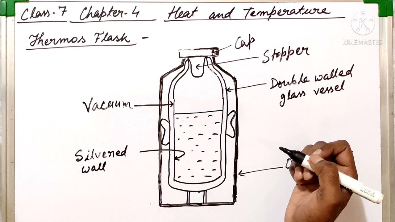 Class 7. Thermos Flask. Heat and Temperature. YouTube