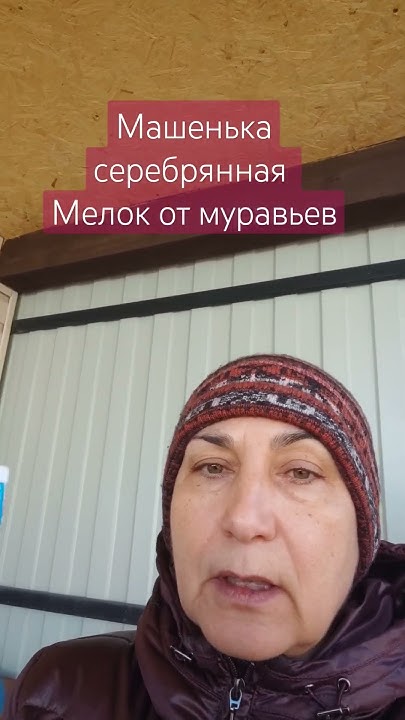 Машенька серебряная мелок от муравьев #рекомендации - YouTube