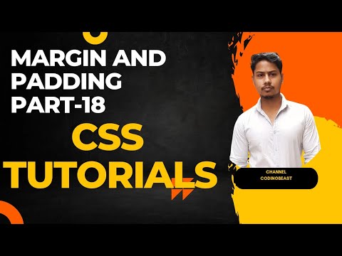 css tutorials for beginners | Margin and padding | web development full ...