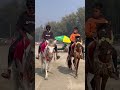 FUNNY SHORTS
