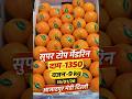 सुपर टॉप मैंडरिन 15/01/26####