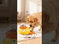 🐶🧠 Your dog is BORED… get this! 🛍️Buy Now, Link in Bio! #dogtoys #doglove #doglife