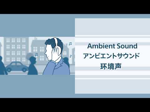 How to use the noise cancelling function