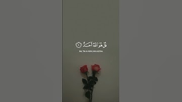 ماهر المعيقلي | #سورة_الإخلاص #قرآن #القرآن_الكريم #قران_كريم #quran