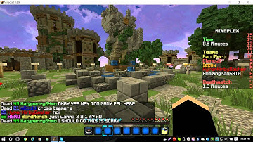 Mineplex - Cross Teaming - Report