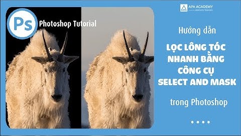 Hướng dẫn lọc lông, tóc nhanh bằng công cụ select and mask trong Photoshop