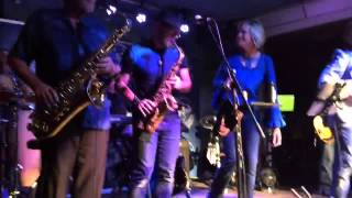 The Blu-Tones , Naples Fl at The Sandy Parrot 2015 "Honey Don't"