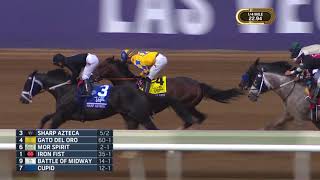 Breeders Cup Dirt Mile G1 - Sharp Azteca Runs 2Nd