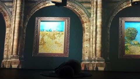 Triển lãm nghệ thuật đa giác quan Van Gogh Lighting Experience 2024