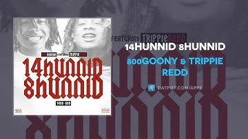 800Goony & Trippie Redd - 14Hunnid 8Hunnid (AUDIO)