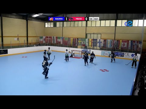 Bulldogs pierde en Fuengirola contra Vikings y gana a Piratas