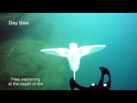 Soft robot free swimming in deep lake