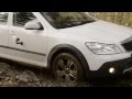 Лакированный Off Road. Skoda Octavia Scout. Skoda Yeti. Renault Duster.