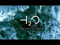 Miniature de la vidéo de la chanson H2O: Vi. Carbon Cetacea