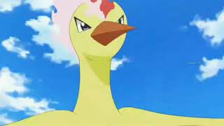 Ash's Fletchinder Evolves Into Talonflame   Pokémon XY Kalos Quest Season 18   A