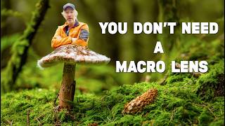 No Macro Lens? Try This Technique for Better Mushroom Photos