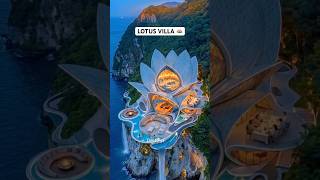 OMG 😱 I Can’t Believe This Lotus Villa Is Real Profile