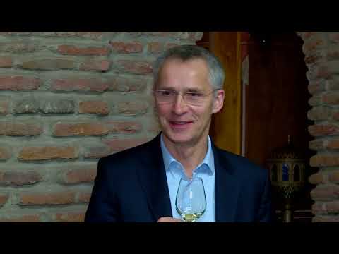 მამუკა ბახტაძემ ნატო-ს გენერალურ მდივანს უმასპინძლა