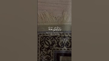 سورة العنكبوت | الآية ٥٣-٥٥ | عبدالرحمن مسعد