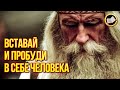 Что поможет нам возродиться? Ведические заповеди славян