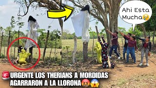 Santo Dios Los Therians Enfrentan Cara A Cara A La M4Ldita Llorona Esto Ya Es Una Gran M4Ldición