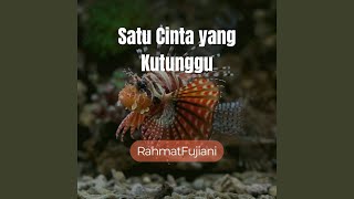 Satu Cinta Yang Kutunggu