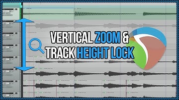 Vertical Zoom & Track Height Lock (new in v5.78)