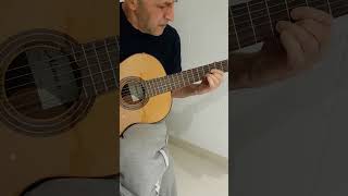 Rod Stewart Have I Told You Lately Guitar Cover