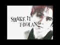 T-BOLAN「SHAKE IT」MV