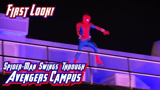FIRST LOOK: Spider-Man Swings 65 Feet Above Avengers Campus At California Adventure!