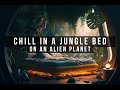 Zi world chill in a sci fi jungle bed w relaxing music  lofi beats