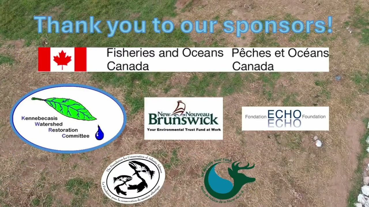 Salt Springs Restoration HRAA