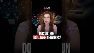 Are Fake Accounts Defending DICT? Suspicious Patterns Uncovered