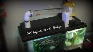 DIY Aquarium Fish Bridge