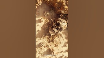 D&D | Desert Ossuary Part 2 Grid | Animated Battle Maps