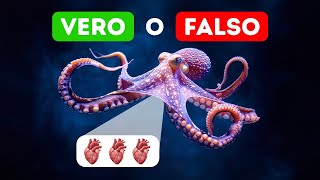 Gli Octopus hanno tre cuori? & Altri Fatti Sorprendenti