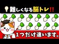 🥣テーマは七草粥！様々な脳トレ問題で脳をシャキっと！違いを探して楽しく鍛える♪【七草粥編】