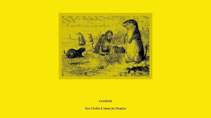 Tara Clerkin & Sunny Joe Paradisos - 'Castlefields...
