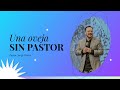 Una oveja sin pastor | Pastor Jorge Bravo